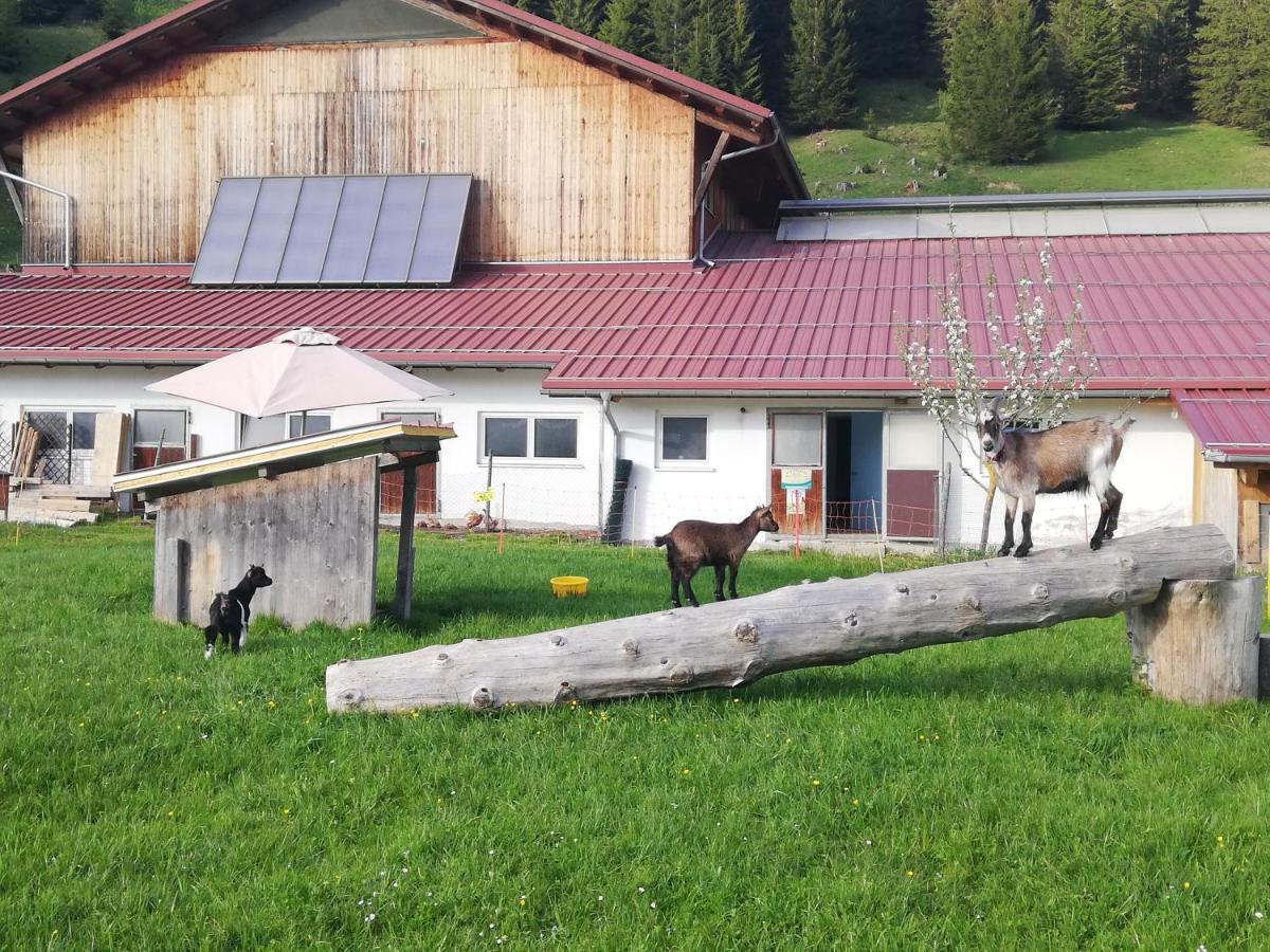 Lenzerhof